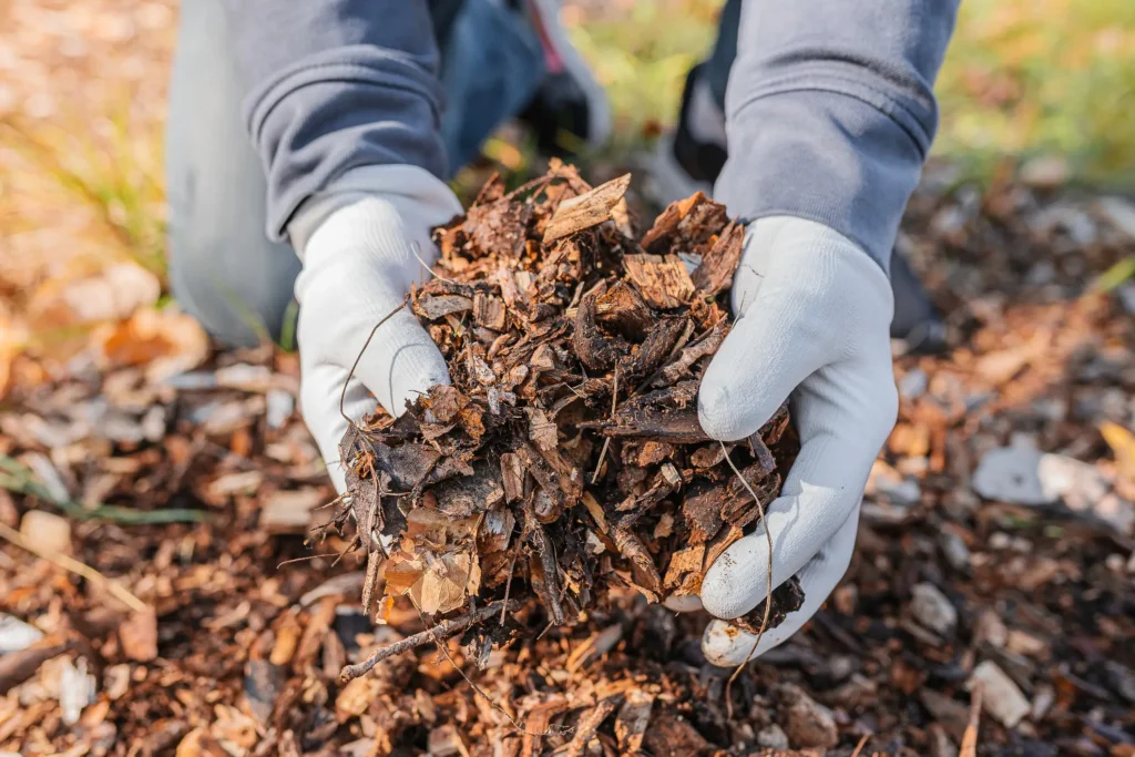 Zdjęcie przedstawiające zrębki firmy ecoTREE trzymane w dłoniach przez jednego z klientów, który chce użyć zrębki do kompostowania i poprawy jakości gleby w swoim ogrodzie.