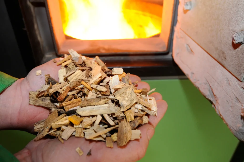 Zdjęcie przedstawiające zrębki drzewne od firmy ecoTREE na dłoniach jednego z klientów firmy, tuż przed wsypaniem zrębki do pieca w celu ogrzania domu.